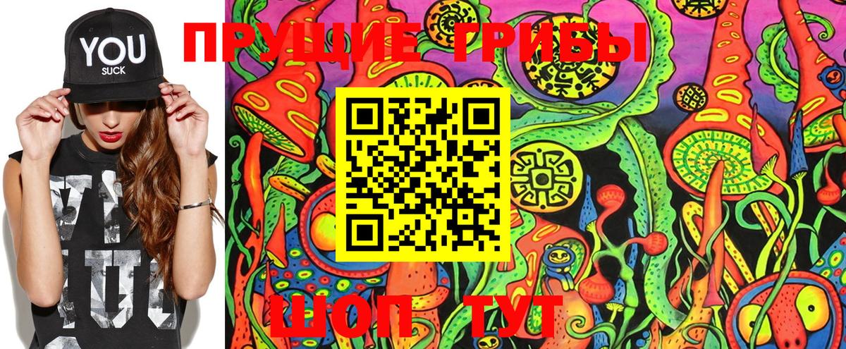 Галлюциногенные грибы GOLDEN TEACHER Таганрог